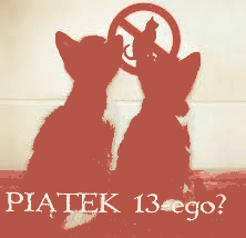 Dwa kotki patrzą na zakaz